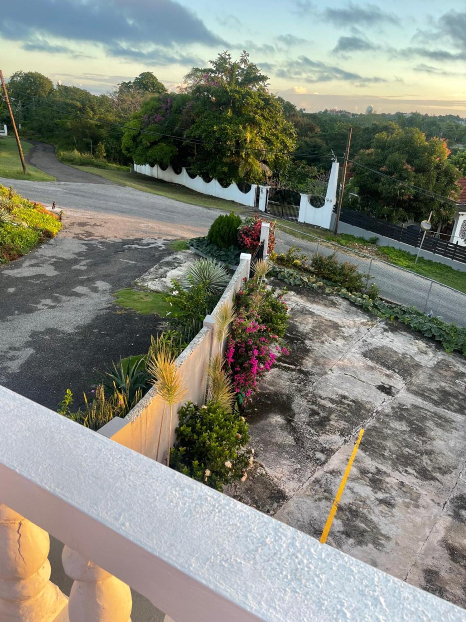 Three Palm Villa Montego Bay Exterior photo